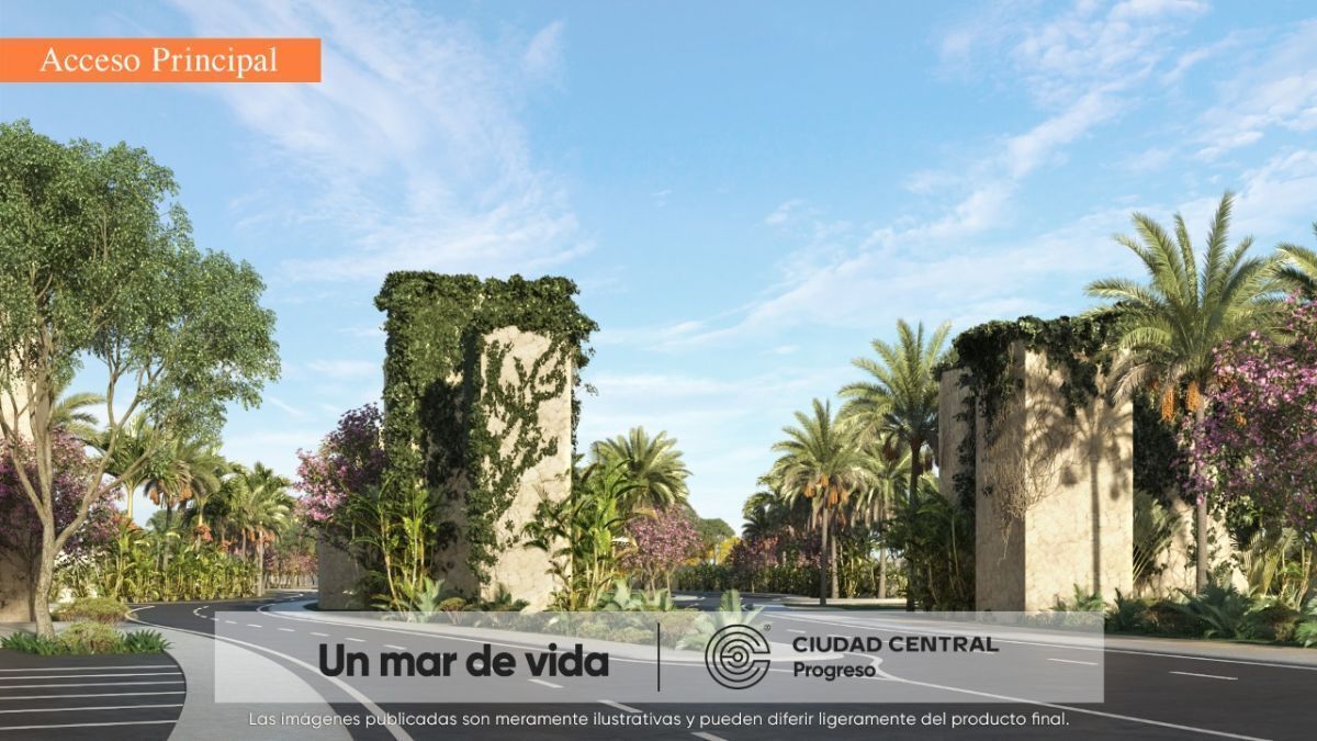 Imagen 3 de 10