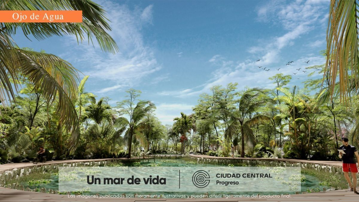 Imagen 6 de 10