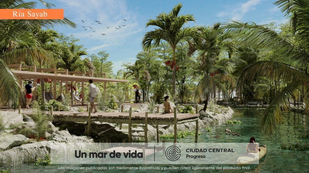 Imagen 7 de 10