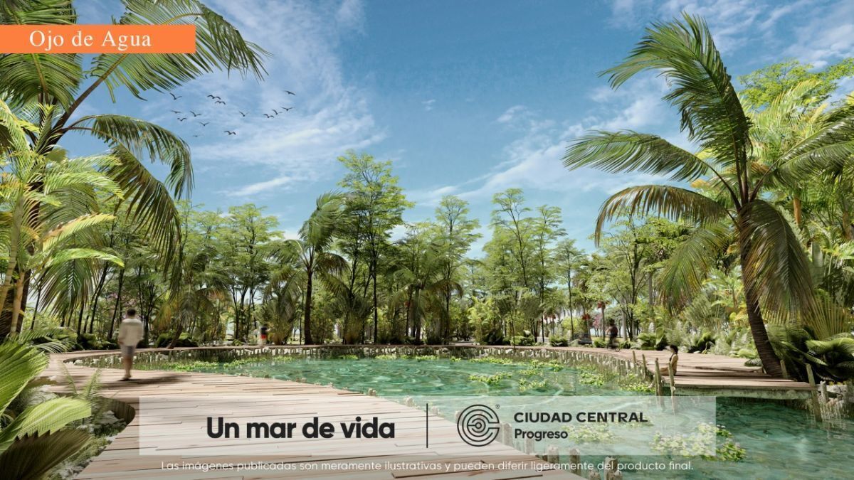 Imagen 8 de 10