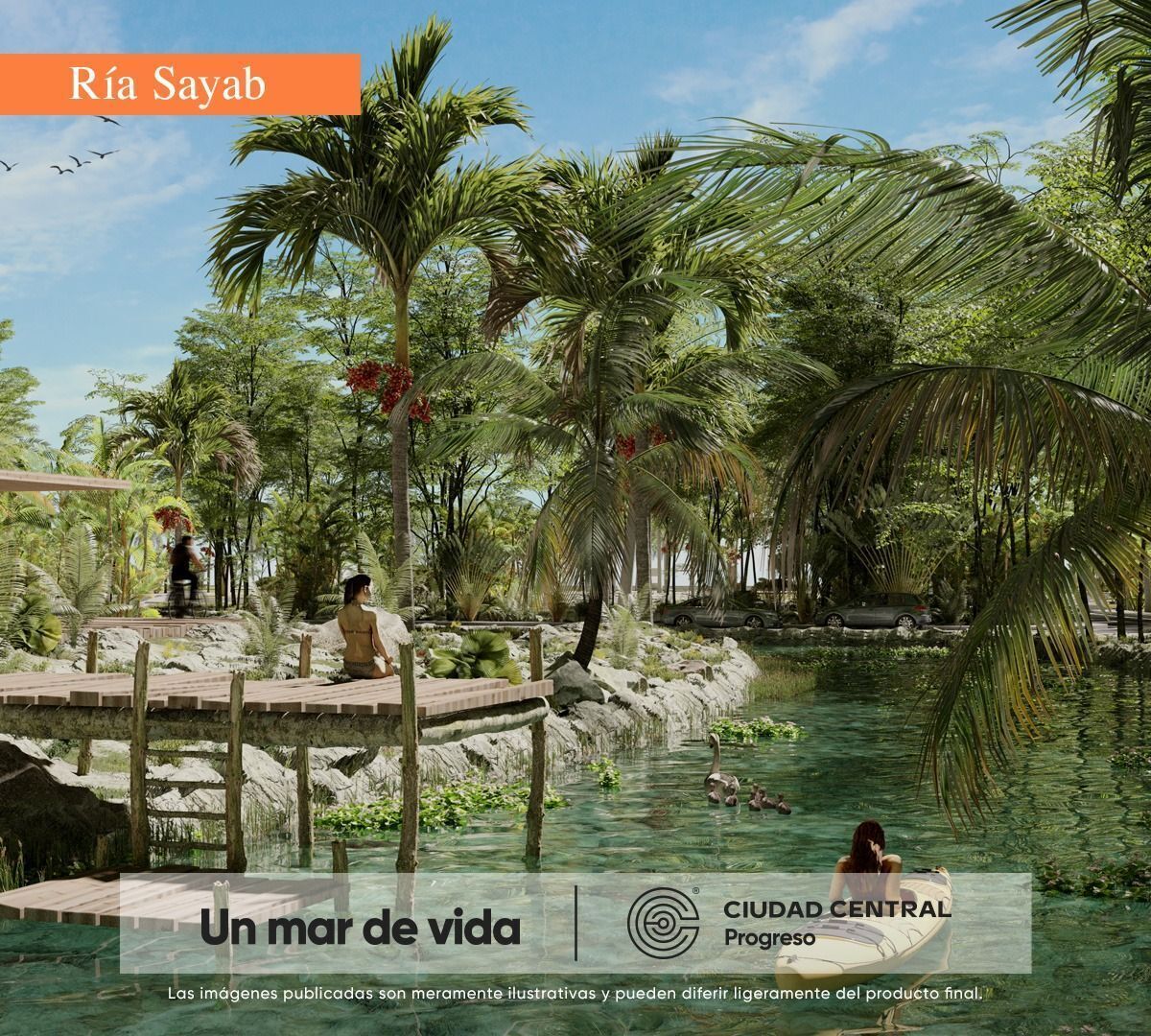 Imagen 9 de 10