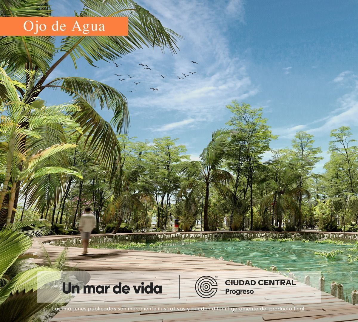 Imagen 10 de 10