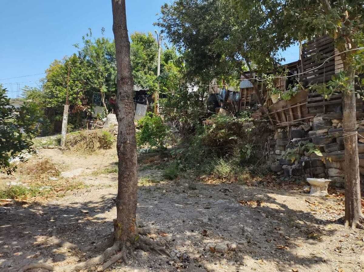 3 de 12