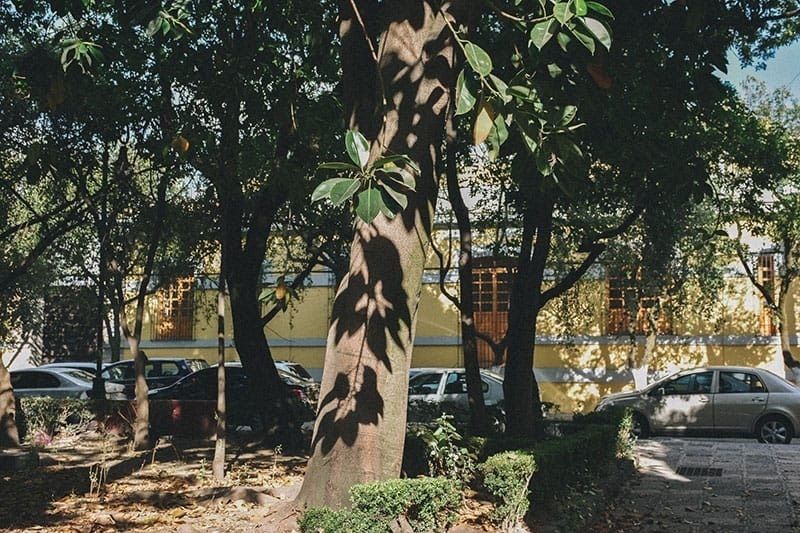 5 de 17