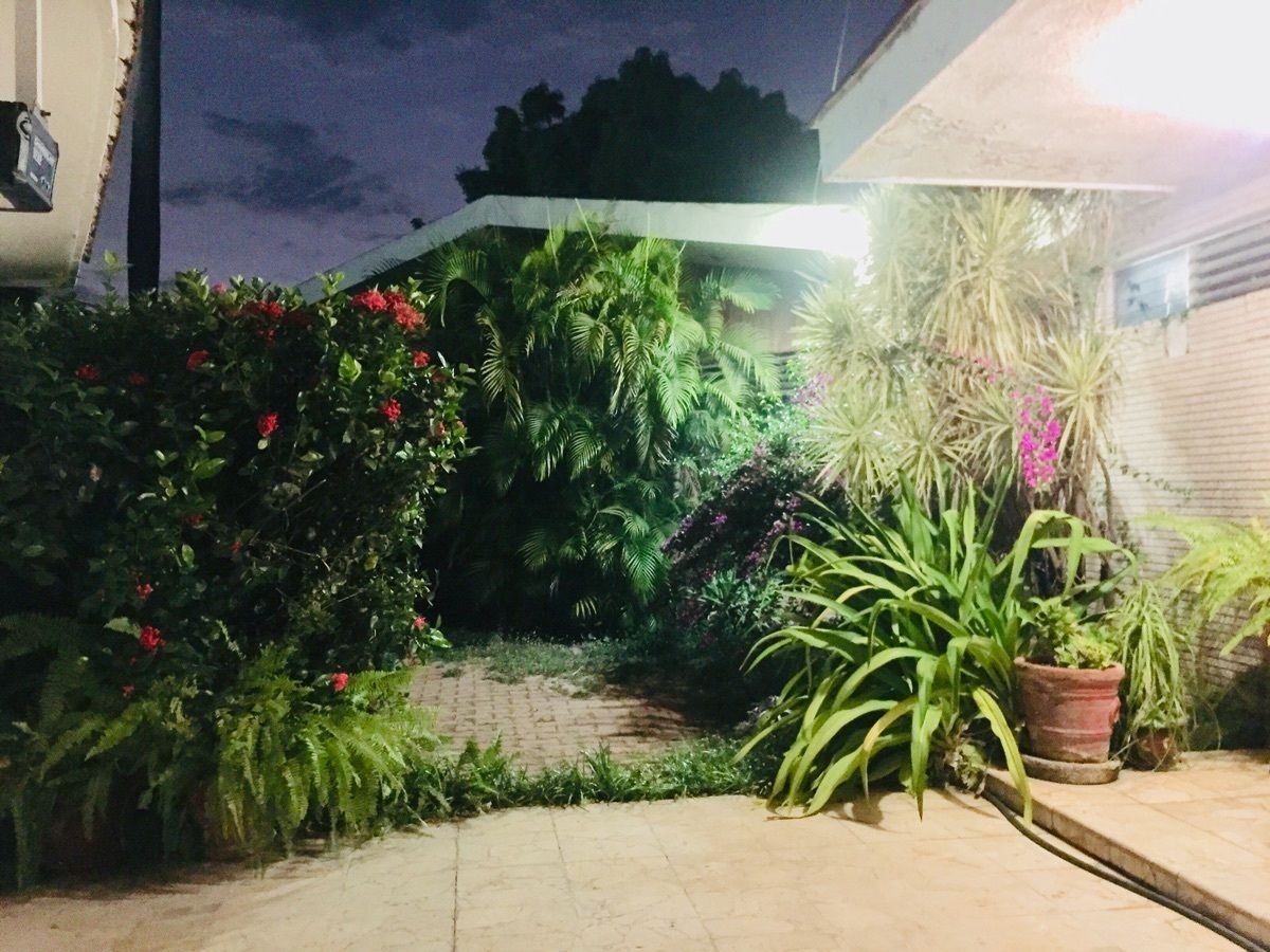 Jardín, foto 30 de 36
