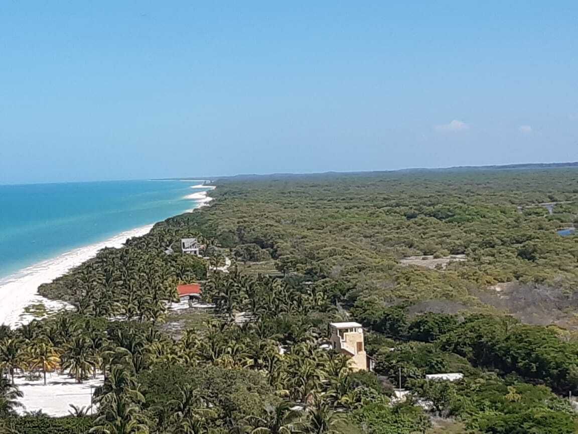 TERRENO EN CELESTUN ORILLA DEL MAR - foto 3