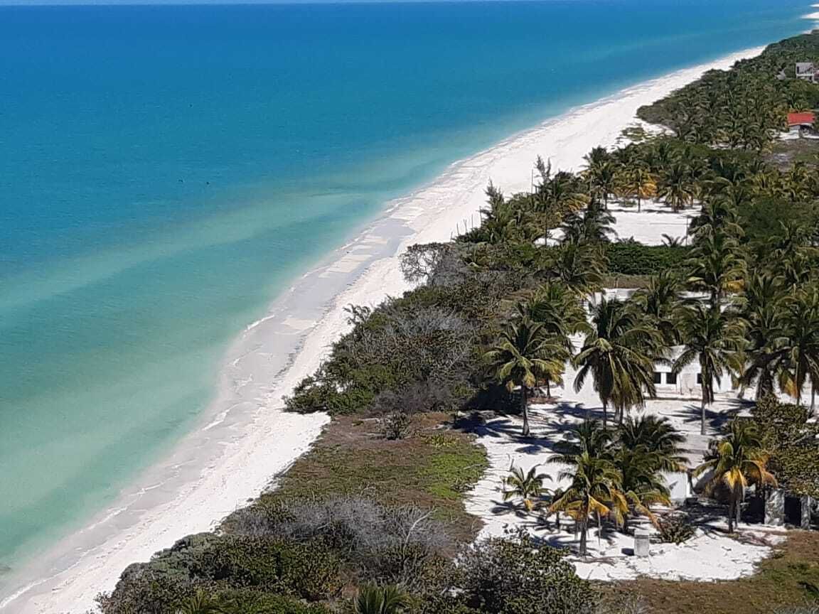 TERRENO EN CELESTUN ORILLA DEL MAR - foto 5