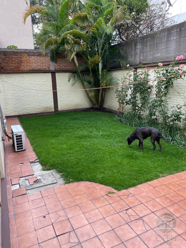 24 de 32