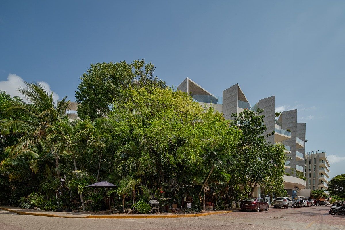 Apartment in Playa del Carmen, Playa del Carmen, photo 12 of 17