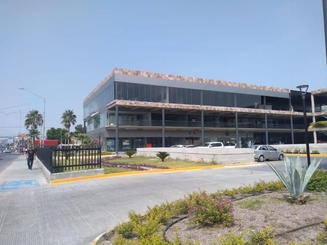 14 de 16