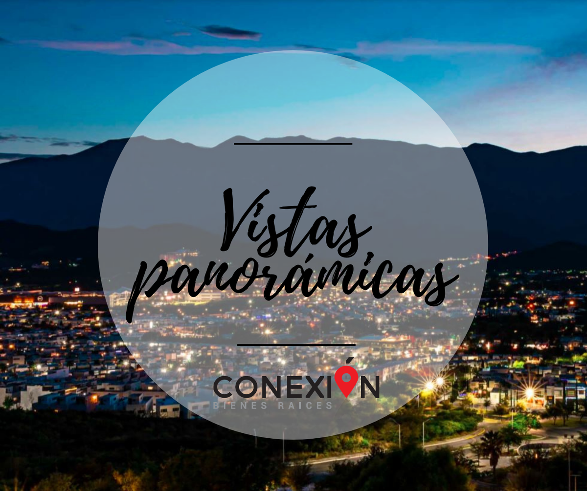 13 de 13