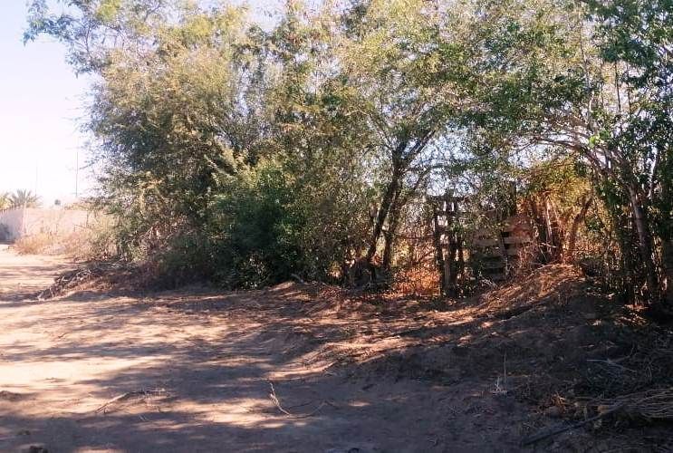 9 de 11: vista de afuera por la calle de atras 