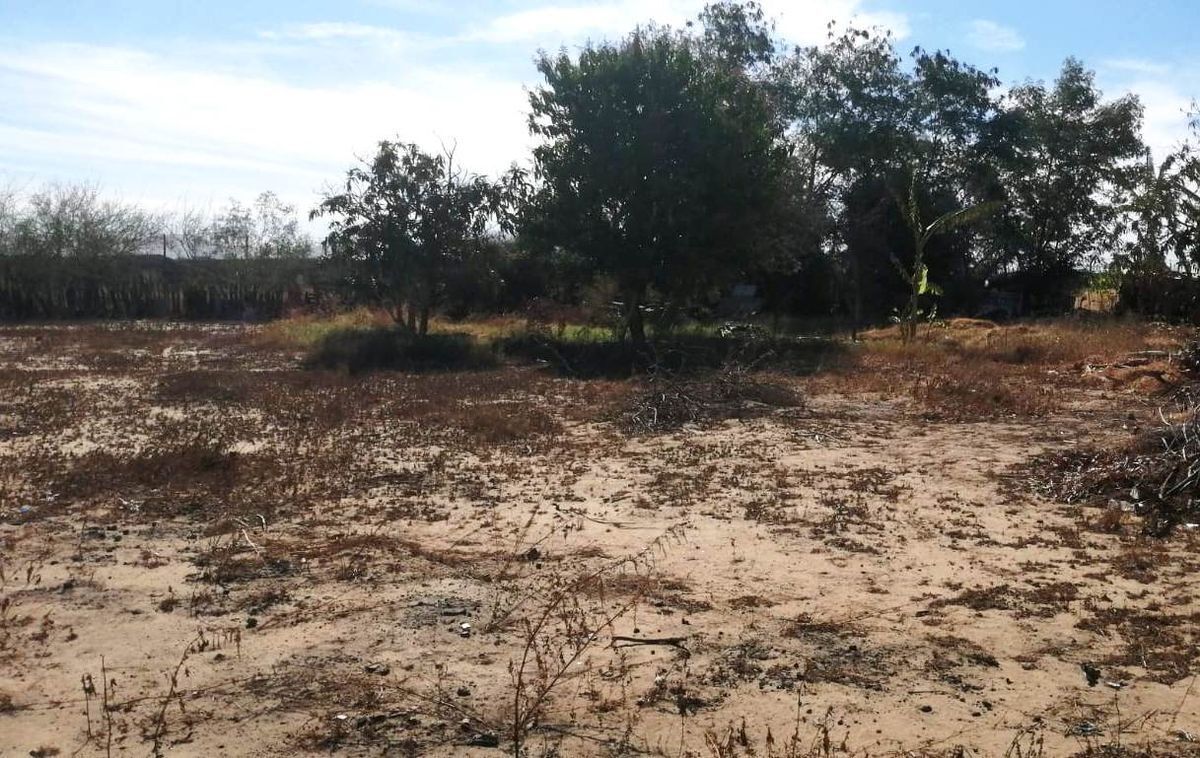 10 de 11: vista por dentro de parte del terreno