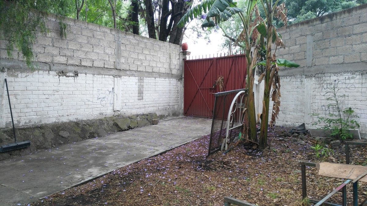 Imagen 9 de 10