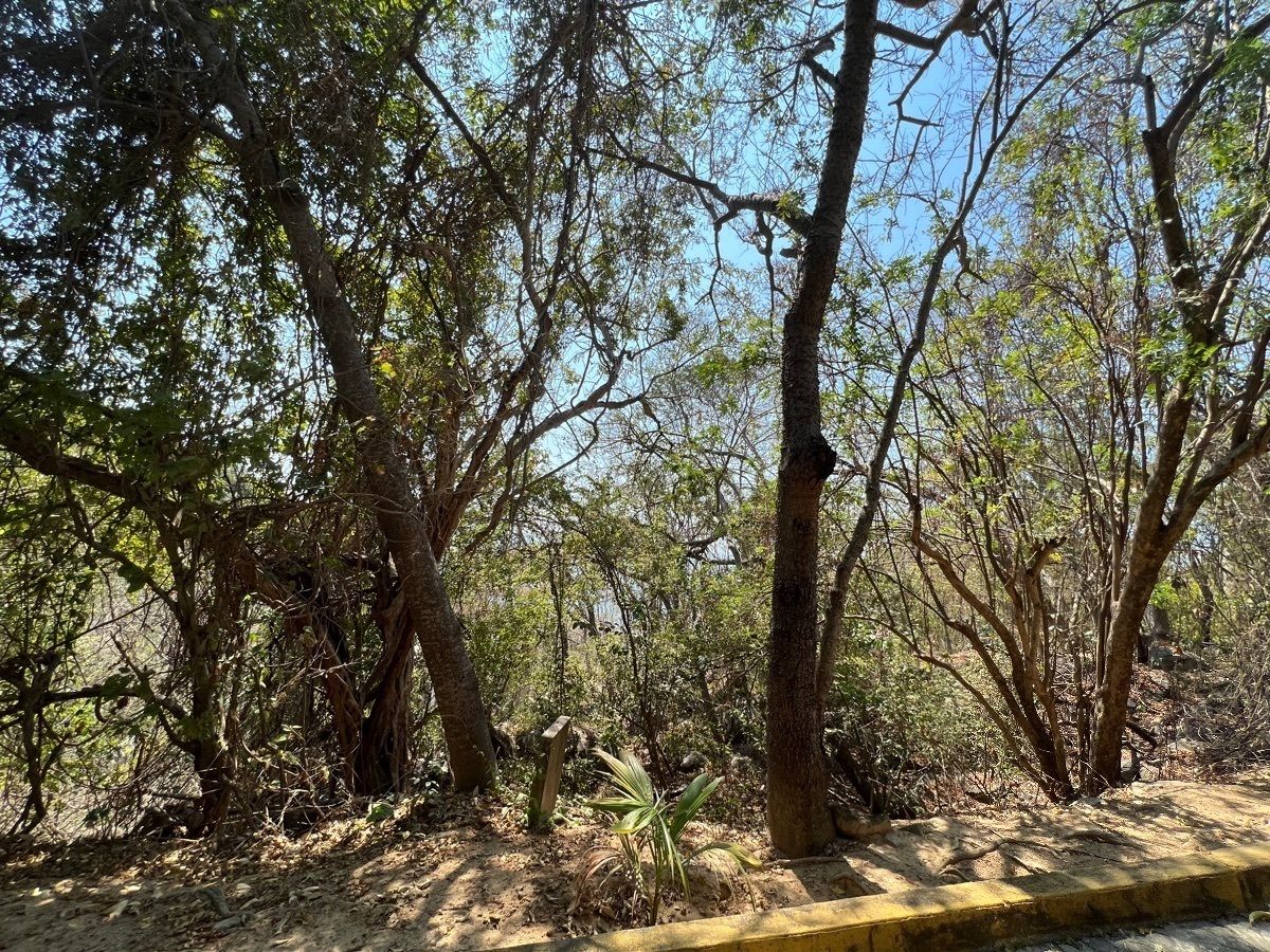 9 de 13