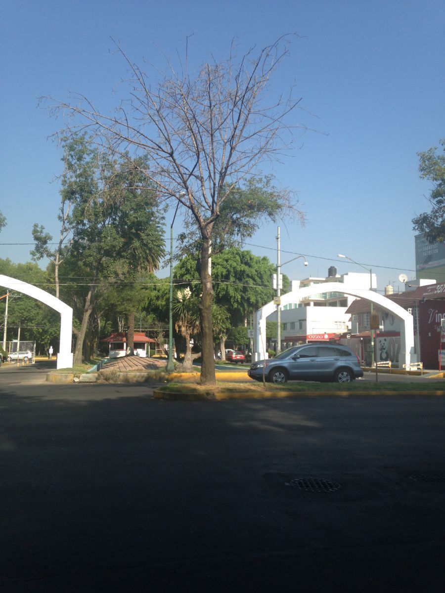Sala Comercial em Nueva Oriental Coapa, Tlalpan, foto 10 de 10