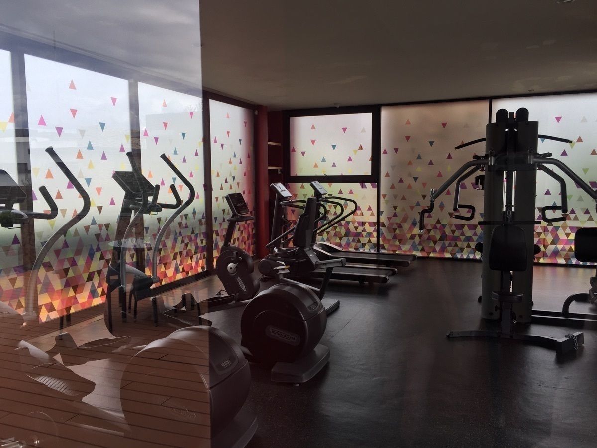 6 de 16: gimnasio con vista a la alberca