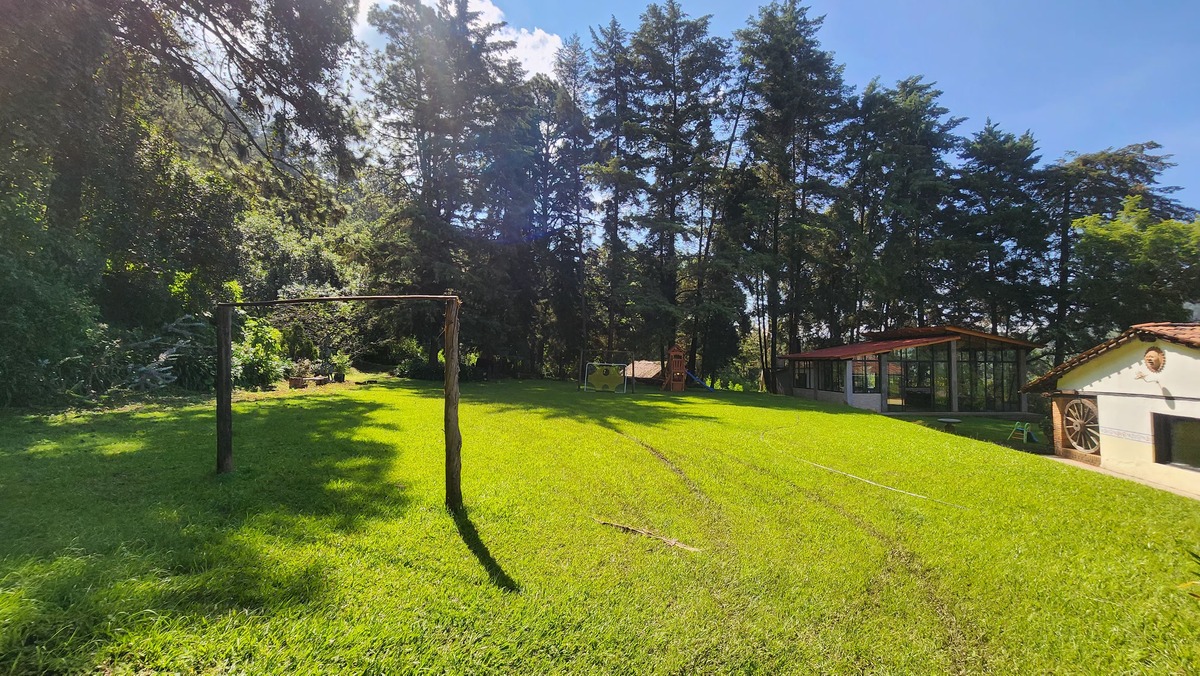 6 de 25