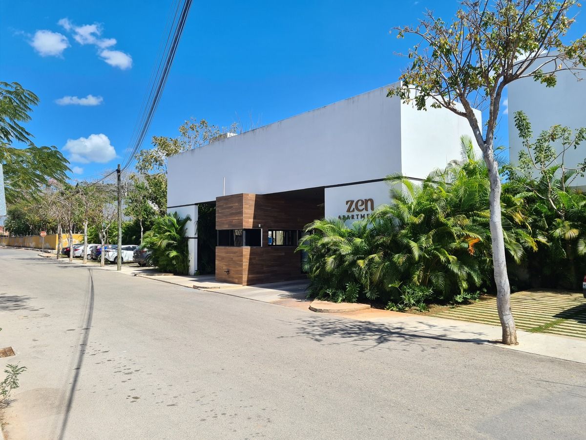 11 de 17
