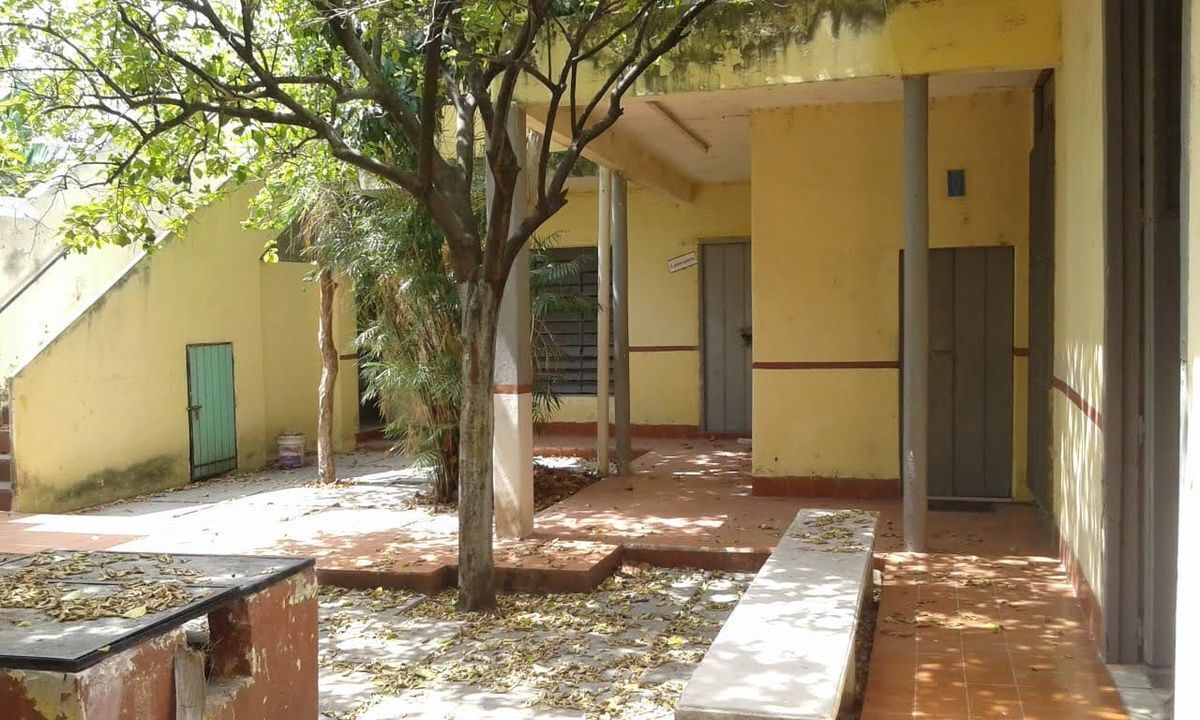 13 de 17