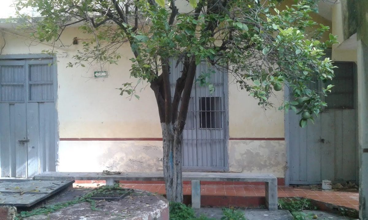 16 de 17