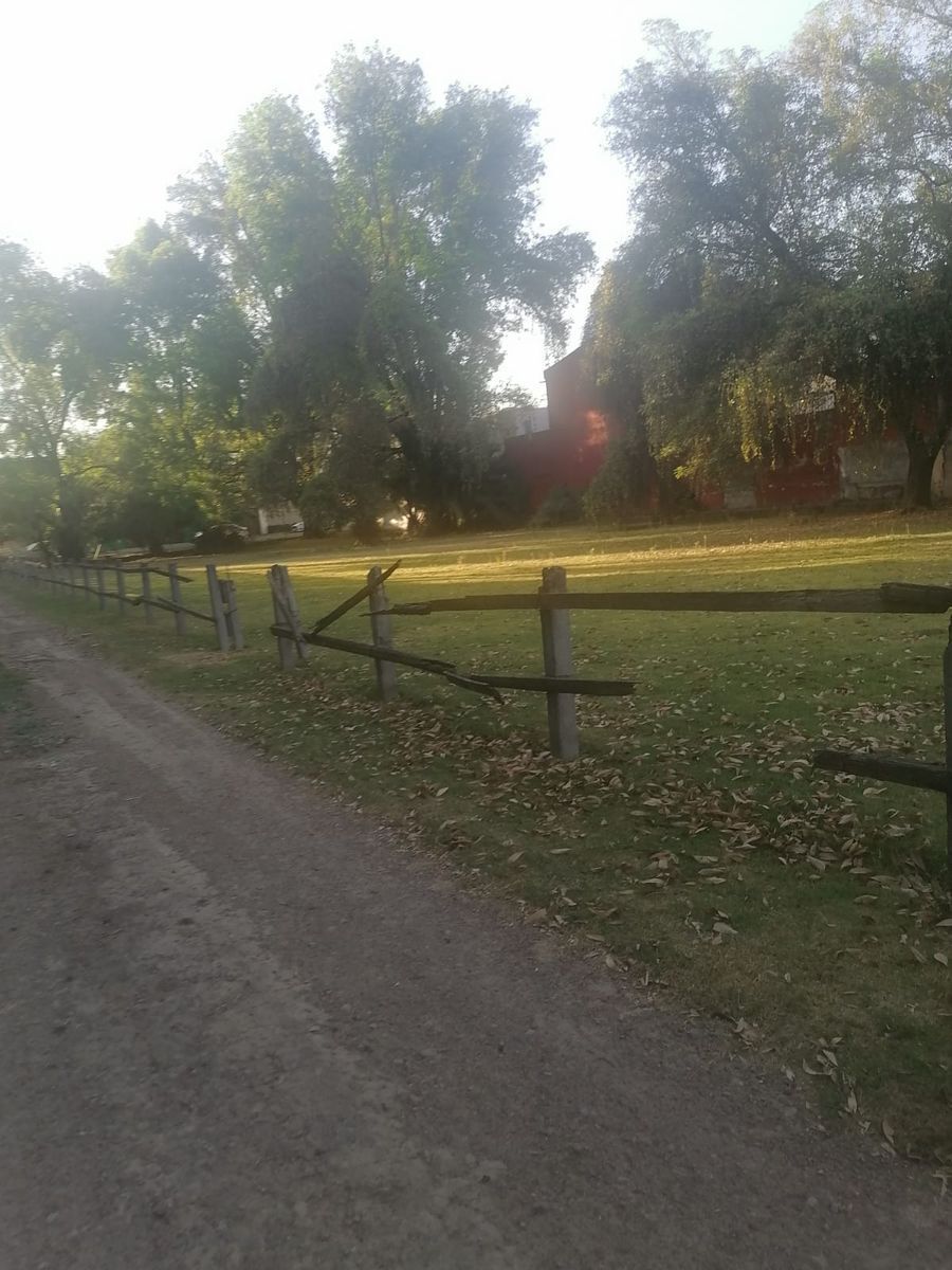 2 de 14