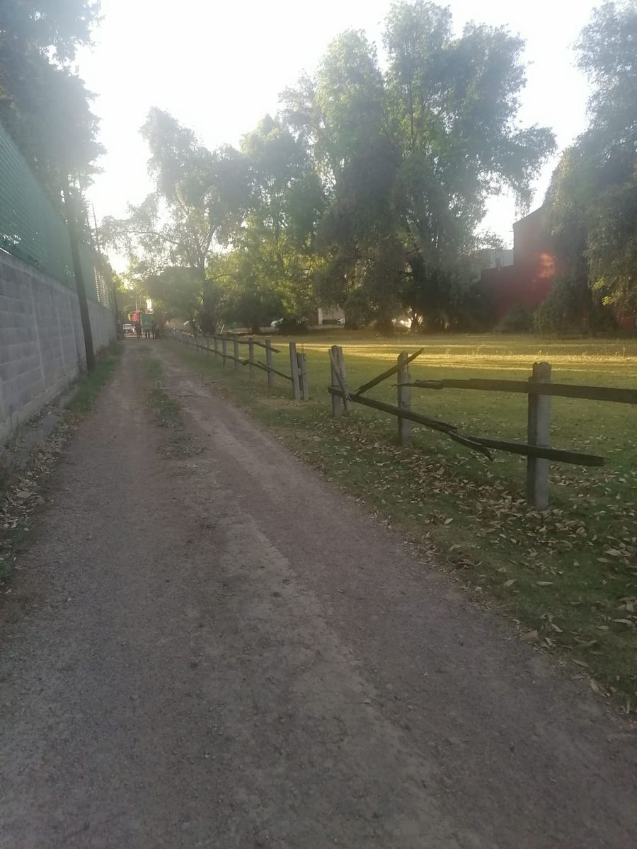 3 de 14