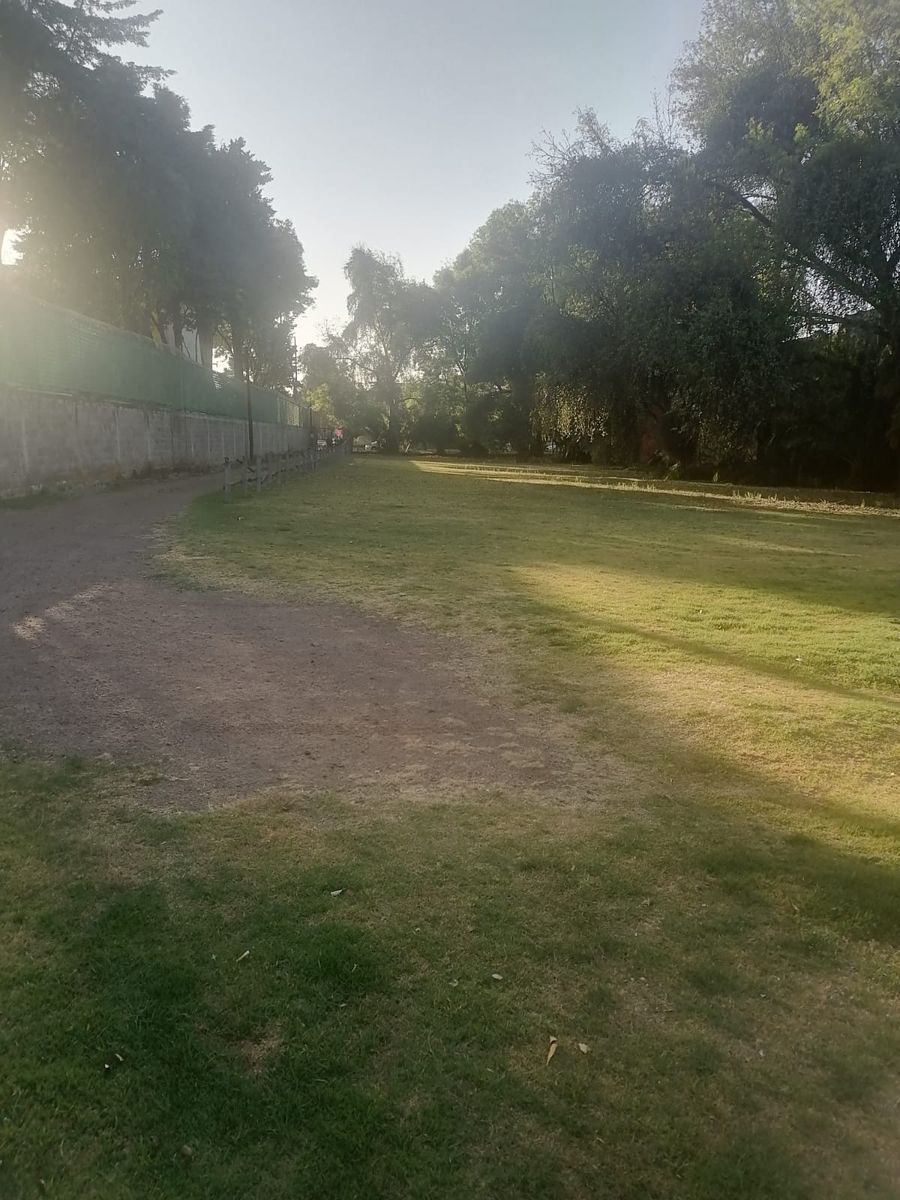 4 de 14