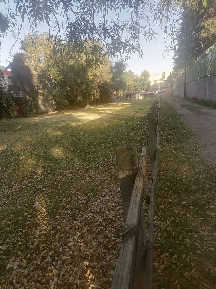 11 de 14