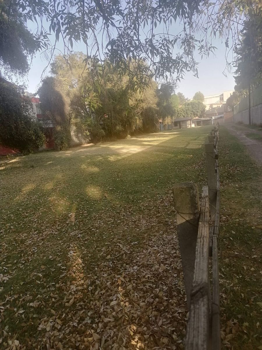 12 de 14