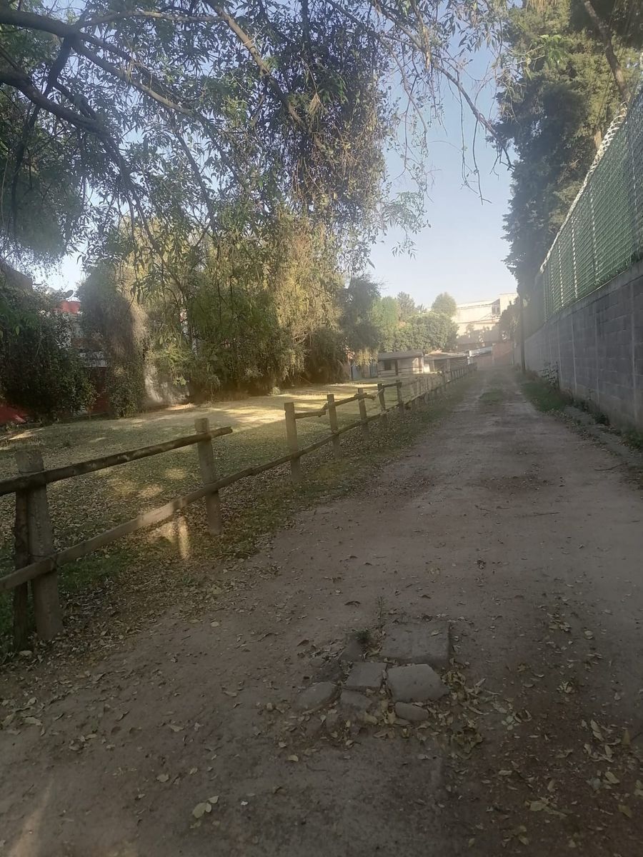 13 de 14