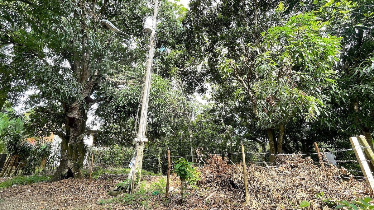 4 de 4: Frente del terreno 