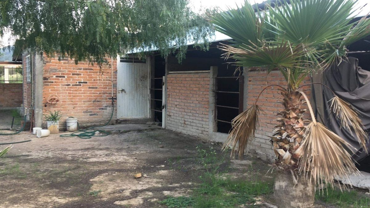 3 de 6