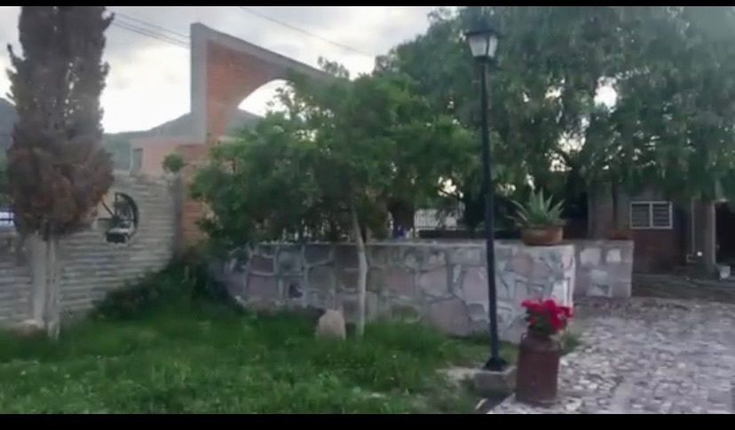 5 de 6