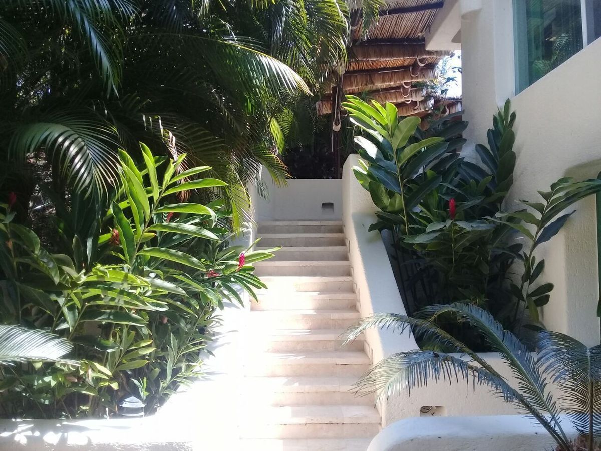 17 de 50
