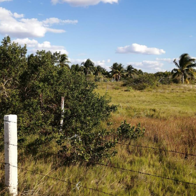 Terreno sobre carretera en Venta, Santa Clara Yucatán, ¡Luz electrica a pie  de l