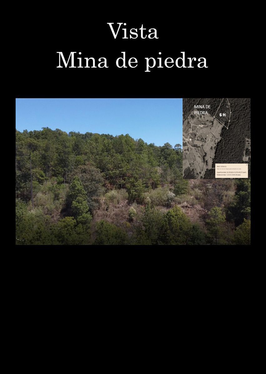 10 de 15