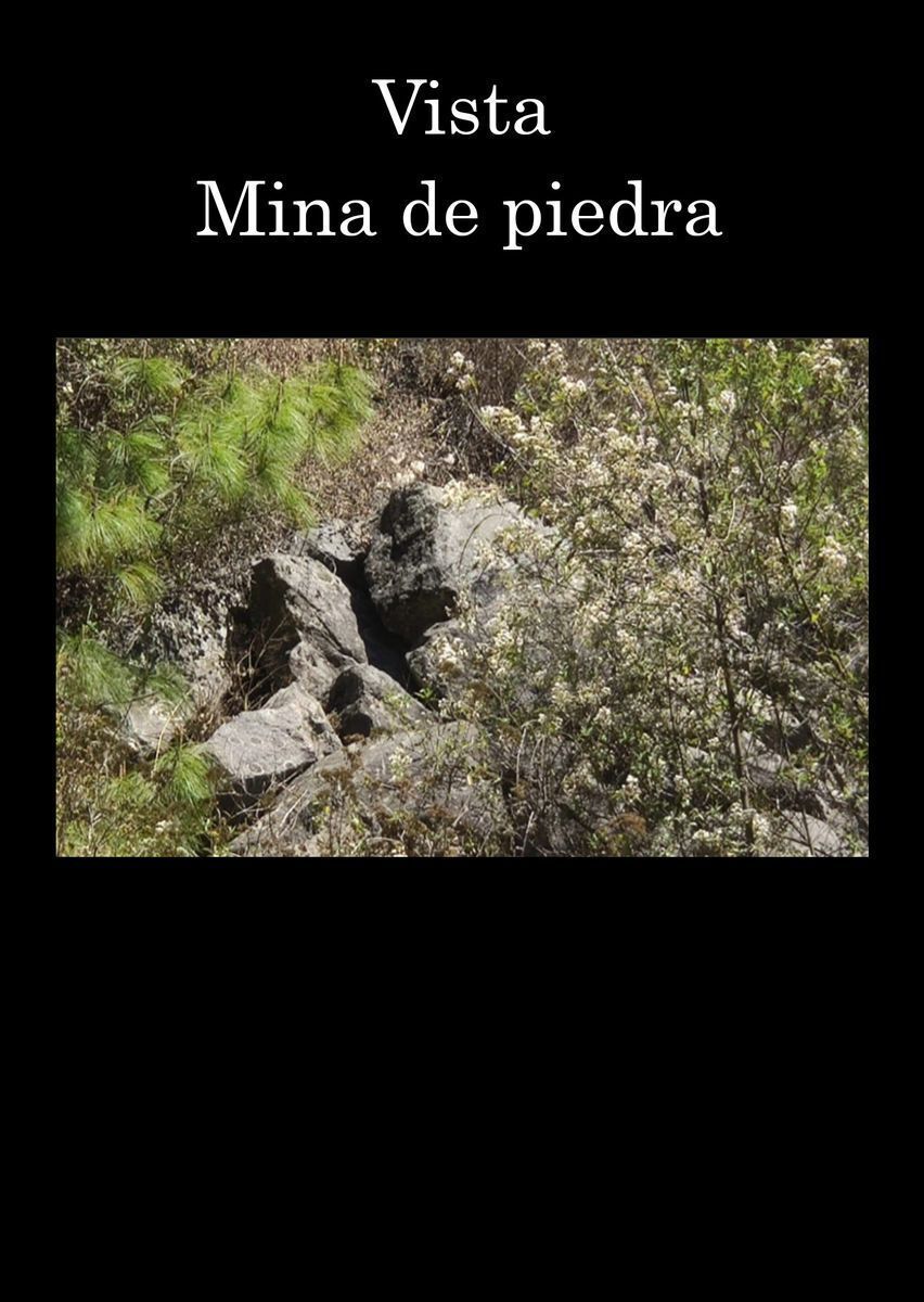 11 de 15