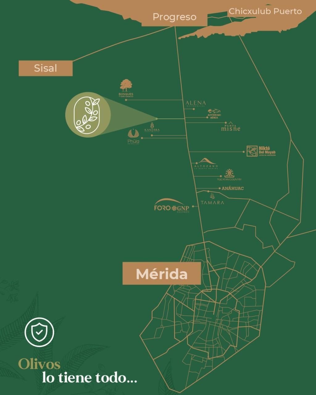 2 de 7