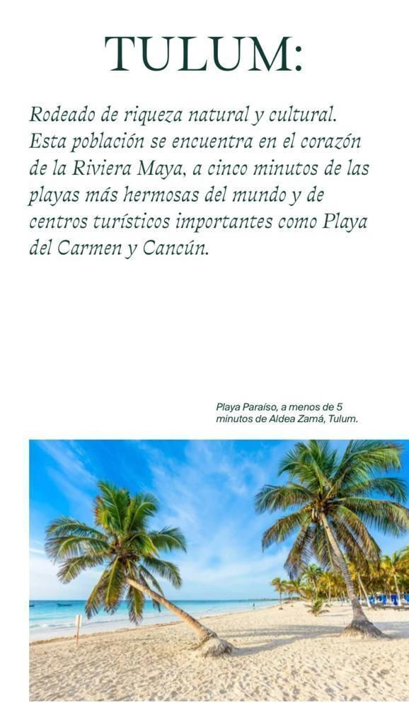 5 de 29