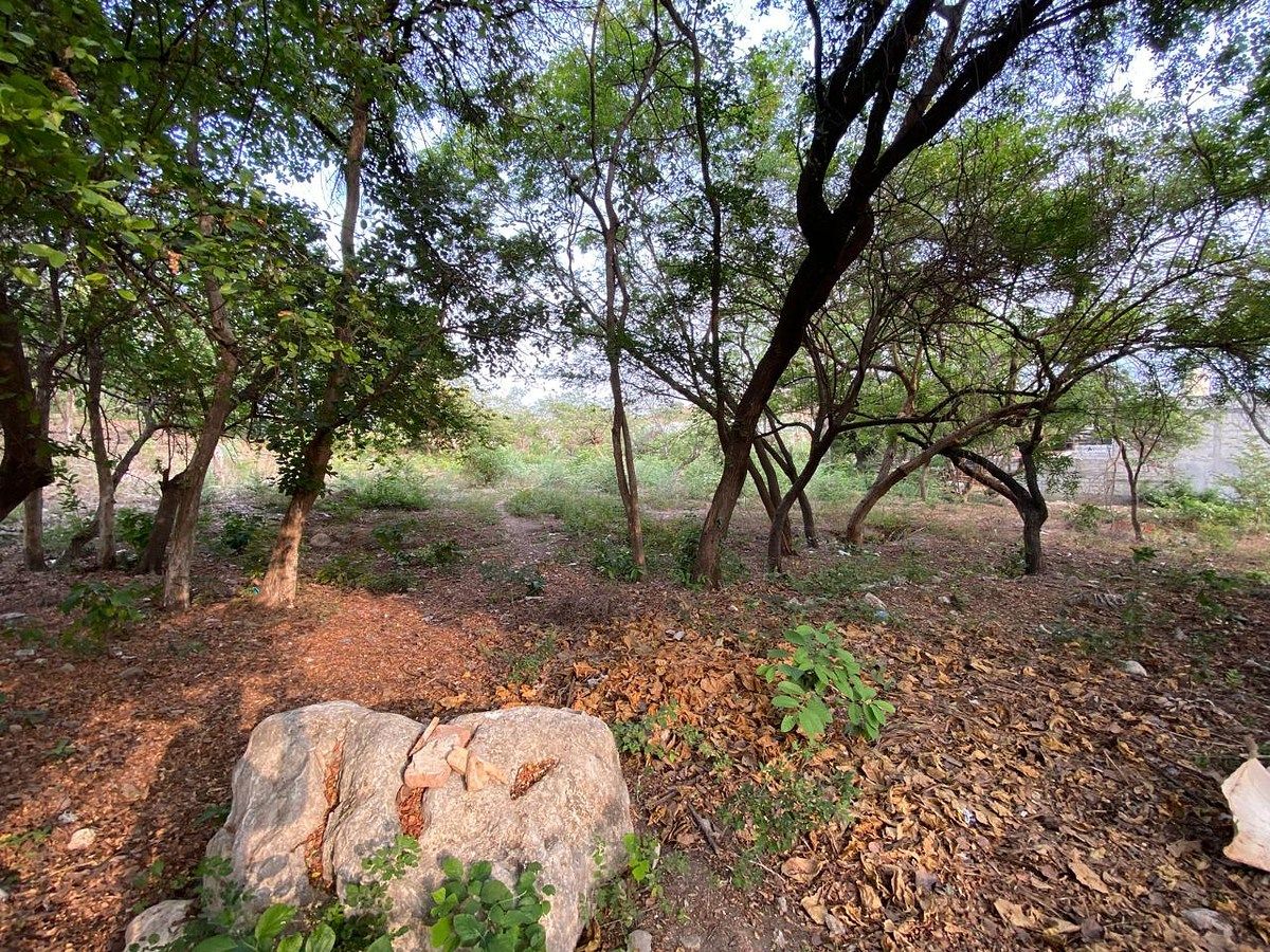 Lote em Rivera Cerro Hueco, Tuxtla Gutiérrez, foto 10 de 15