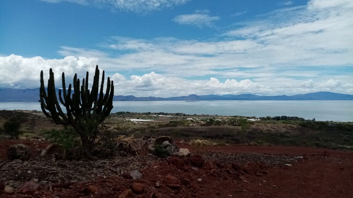 5 de 16
