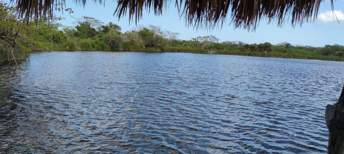 3 de 6: Terreno en venta en Yucatan a 20 min de la playa Dzilam