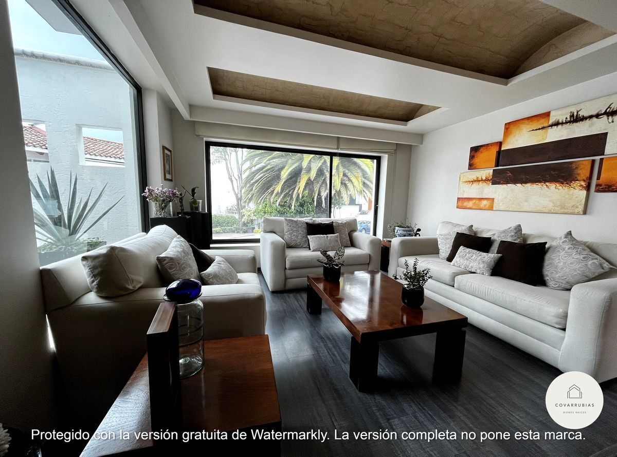 Imagen 6 de 10