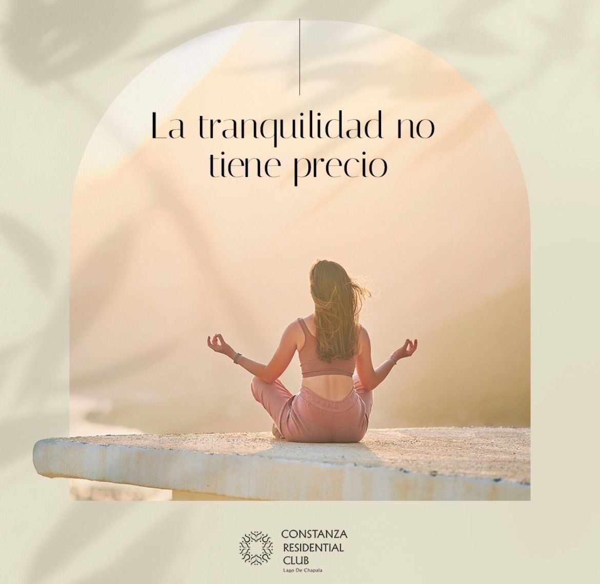 8 de 14