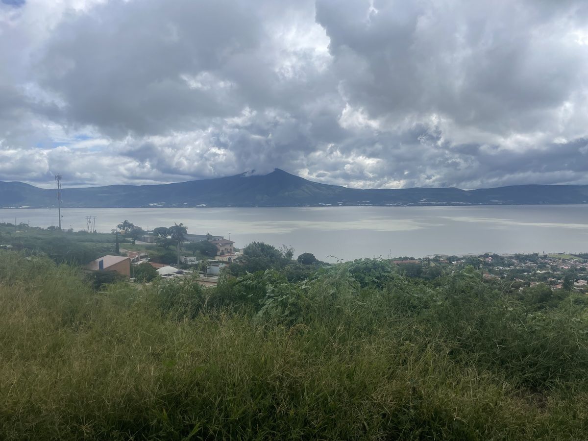 7 de 14