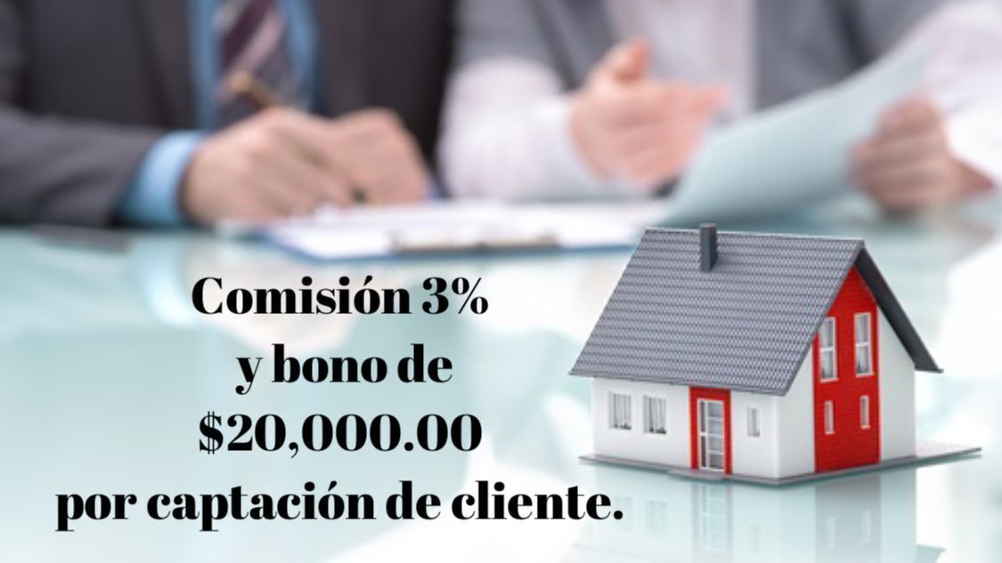 2 de 8