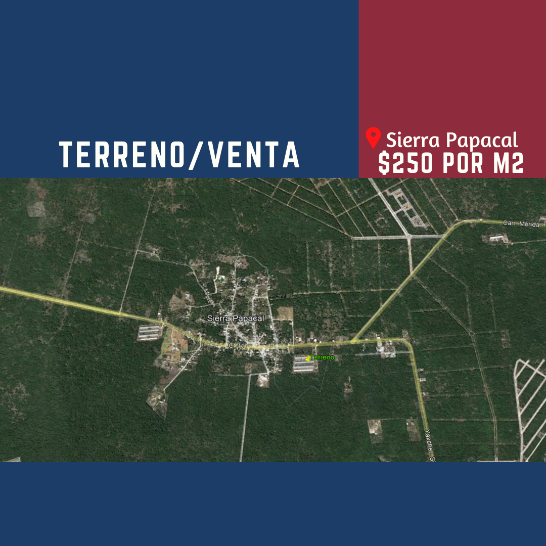 Terreno - foto 1