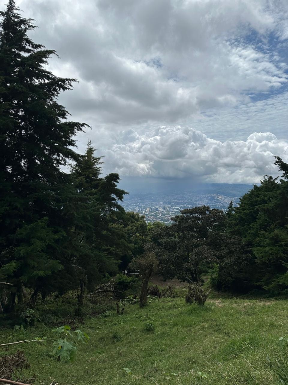 2 de 3