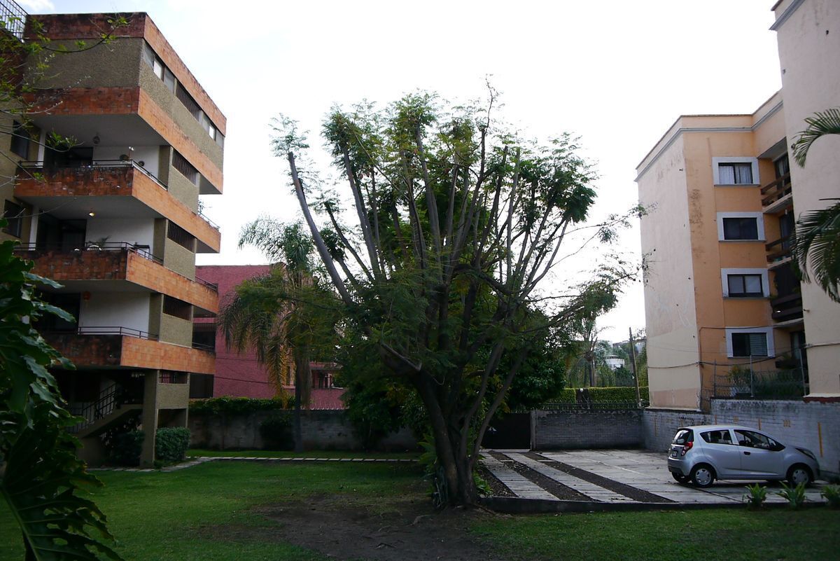 1 de 16